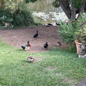 IMG_6607.jpeg