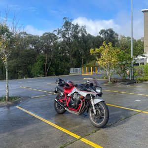 IMG_6835.jpeg